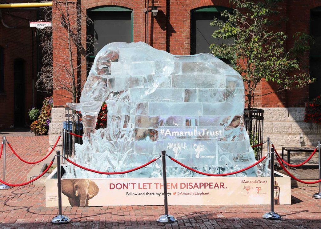 Amarula elephant ice sculpture